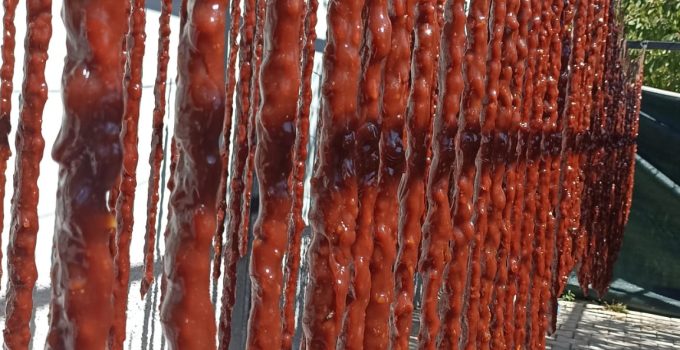 Halkapınar’da Sezon  Başladı