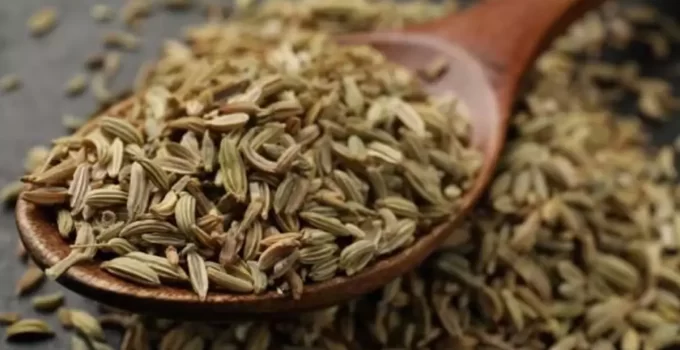 Dünyanın en sağlıklı yiyeceği belli oldu! Binlerce besini geride bıraktı
