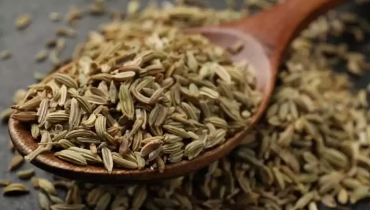 Dünyanın en sağlıklı yiyeceği belli oldu! Binlerce besini geride bıraktı