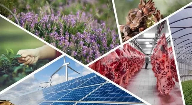 Kırsal kalkınmaya dev destek: 597,6 milyon lira hibe ödendi