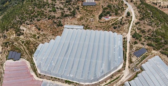 GÜNEŞ MEYVECİNİN MALİYETLERİNİ DÜŞÜRDÜ