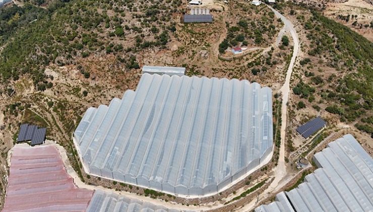 GÜNEŞ MEYVECİNİN MALİYETLERİNİ DÜŞÜRDÜ