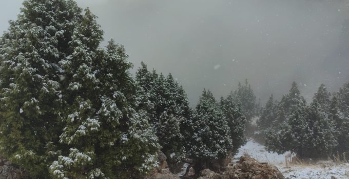 Halkapınar’da mevsimin ilk karı yağdı