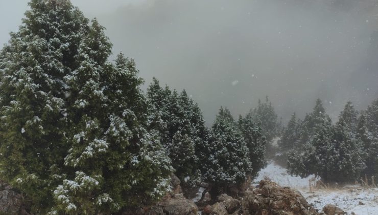 Halkapınar’da mevsimin ilk karı yağdı