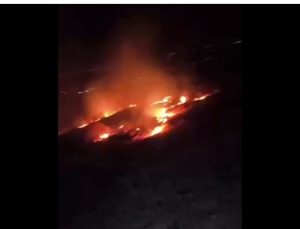 Emirgazi’de ormanlık alanda yangın çıktı