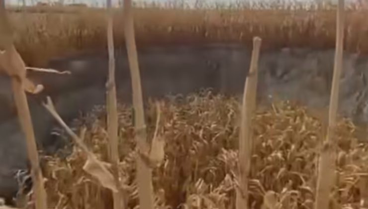 Karapınar’da Mısır Tarlasında Obruk Oluştu