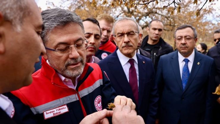 Don Destek Ödemeleri Hesaplara Aktarılmaya Başlandı