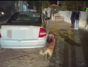 Ereğli’de Düzenlenen Uyuşturucu Operasyonunda 3 Kişi Tutuklandı