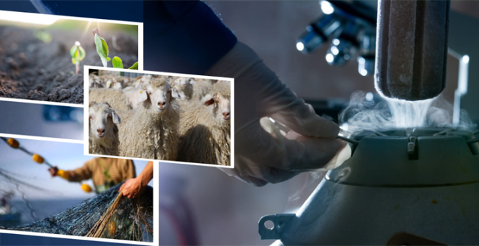 1.1 Milyar Liralık Destekleme Ödemesi Hesaplara Aktarılıyor