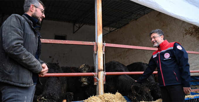 Kırsalda Bereket, Hayvancılığa Destek Projesi Meyvelerini Vermeye Başladı