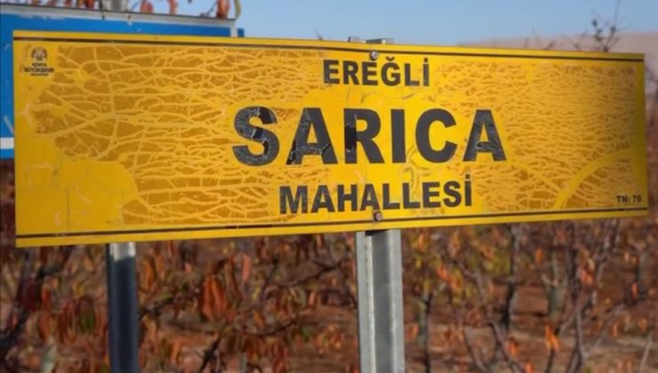 Ereğli Sarıca Mahallesi