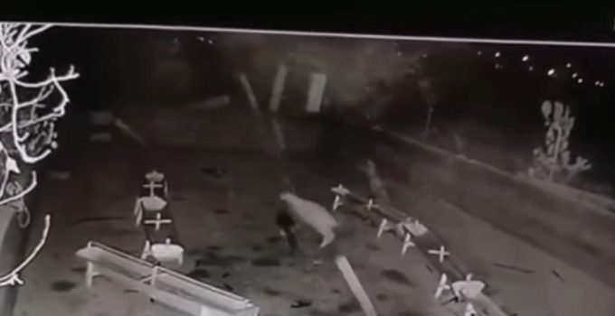 Ereğli’de Ağıla Giren Kurt 2 Koyunu Telef Etti!