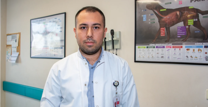 Şap Hastalığıyla Mücadelede Aşılama Hayati Önem Taşıyor