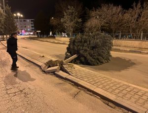 Ereğli’de fırtına şiddetini artırdı