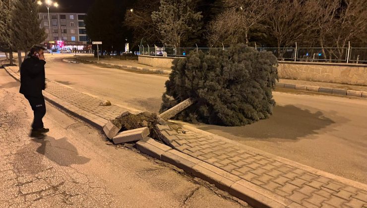 Ereğli’de fırtına şiddetini artırdı