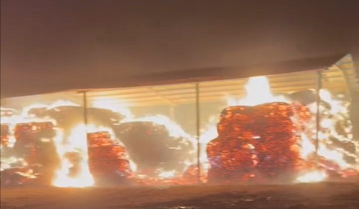 Ereğli’de bir çiftlikte yangın çıktı