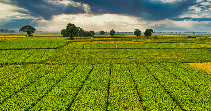 Çiftçilere 1,6 Milyar Liralık Destekleme Ödemesi Yapıldı