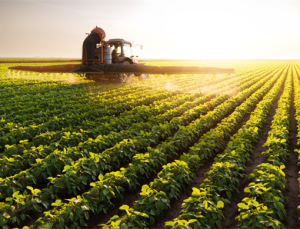 129,3 Milyon Liralık Tarımsal Destekleme Ödemesi Hesaplara Aktarıldı