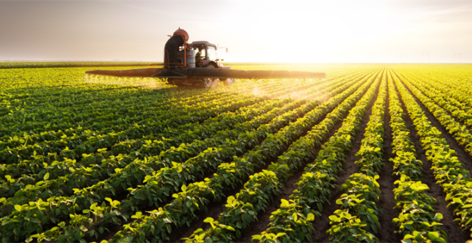 129,3 Milyon Liralık Tarımsal Destekleme Ödemesi Hesaplara Aktarıldı