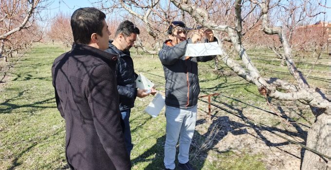 İlçe Tarım Müdürlüğü Ekipleri Meyve Ağaçlarını İnceledi