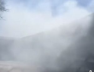 Karapınar’da Çıkan Yangında 65 Buzağı Telef Oldu