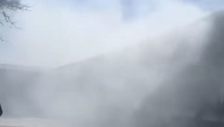 Karapınar’da Çıkan Yangında 65 Buzağı Telef Oldu