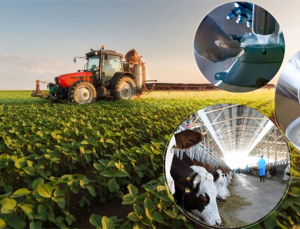 Destekleme Ödemesi Bugün Hesaplara Aktarılıyor