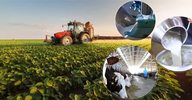 Destekleme Ödemesi Bugün Hesaplara Aktarılıyor