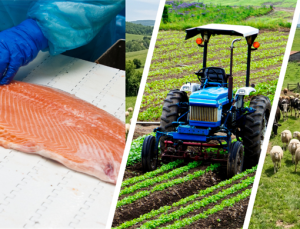 241 Milyon Avroluk Hibe Desteği Sağlanacak