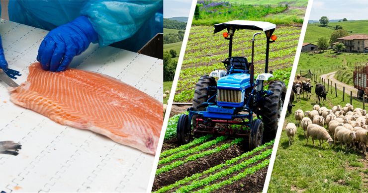 241 Milyon Avroluk Hibe Desteği Sağlanacak