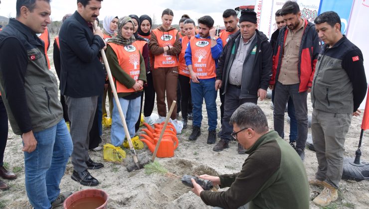 Karapınar’da erozyon sahasında fidan dikimi gerçekleştirildi