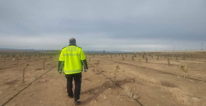 Bölge Trafik Ekibinden Örnek Proje: Bin Adet Fidan Toprakla Buluştu