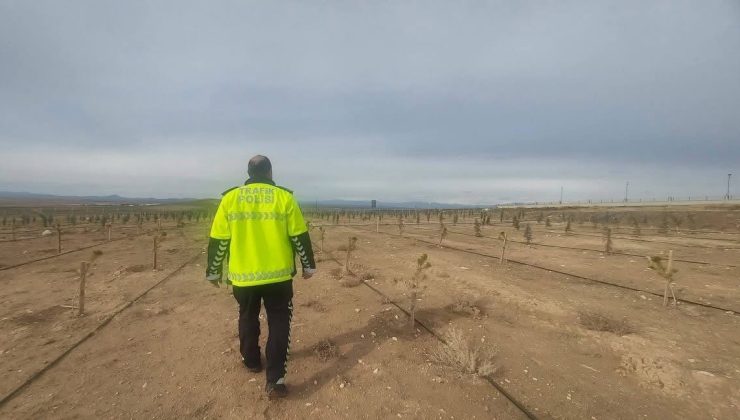 Bölge Trafik Ekibinden Örnek Proje: Bin Adet Fidan Toprakla Buluştu