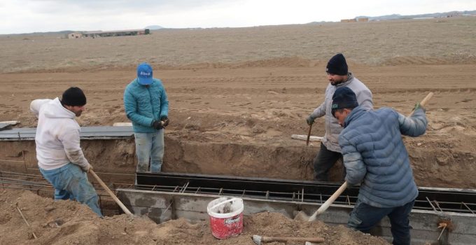 Karapınar Belediyesi Sokak Hayvanlarına Doğal Yaşam Alanı Yapıyor