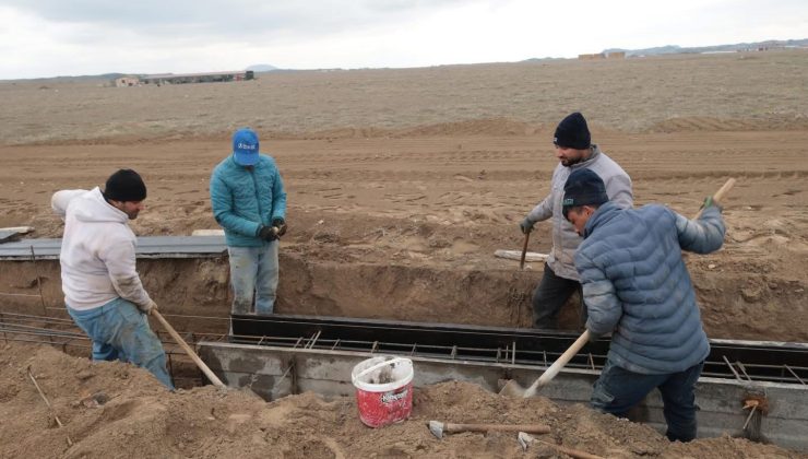 Karapınar Belediyesi Sokak Hayvanlarına Doğal Yaşam Alanı Yapıyor