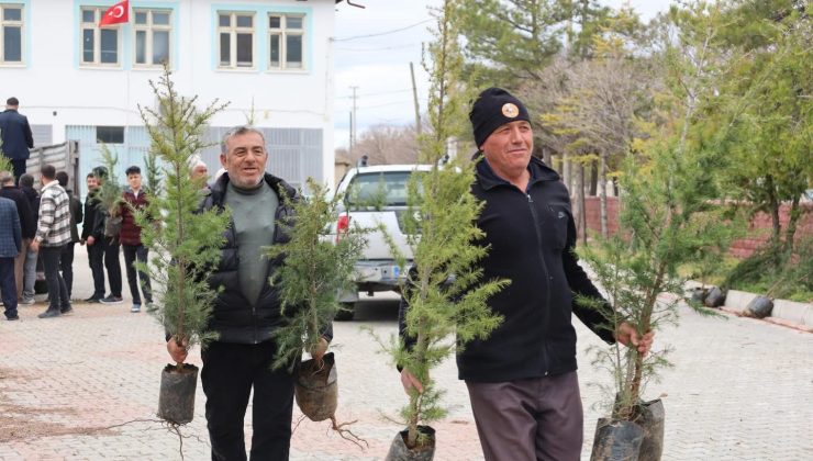 Karapınar Belediyesi 12 bin fidan dağıttı