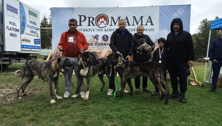 EREĞLİ’DE KÖPEK IRK STANDARTLARI ETKİNLİĞİNE YOĞUN İLGİ