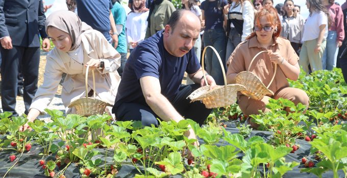 BAŞKAN ALTAY 2027 YILI TARIMSAL DESTEK BAŞVURULARININ 1 TEMMUZ’TA BAŞLAYACAĞINI DUYURDU