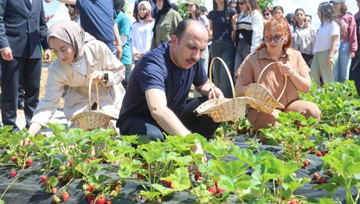 BAŞKAN ALTAY 2027 YILI TARIMSAL DESTEK BAŞVURULARININ 1 TEMMUZ’TA BAŞLAYACAĞINI DUYURDU