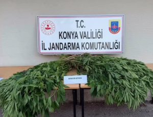 Ereğli İlçe Jandarma Komutanlığı’ndan Uyuşturucu Tacirlerine Peş Peşe Operasyon