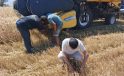 Ereğli’de Biçerdöver Denetimleri Aralıksız Sürüyor