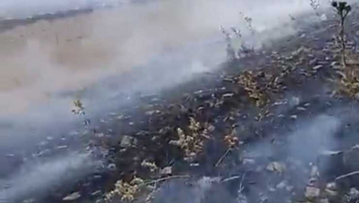 Karaören’de Korkutan Yangın: Mahallelinin Hızlı Müdahalesi Faciayı Önledi