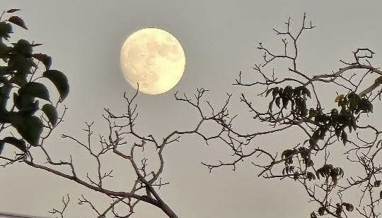 Halkapınar Saybaşı’nda Kartpostallık Akşam Manzarası