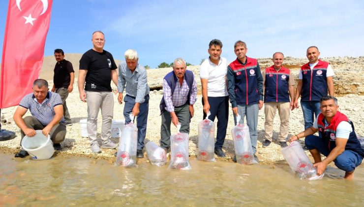 Karaman Göletleri Pullu Sazanlarla Buluştu