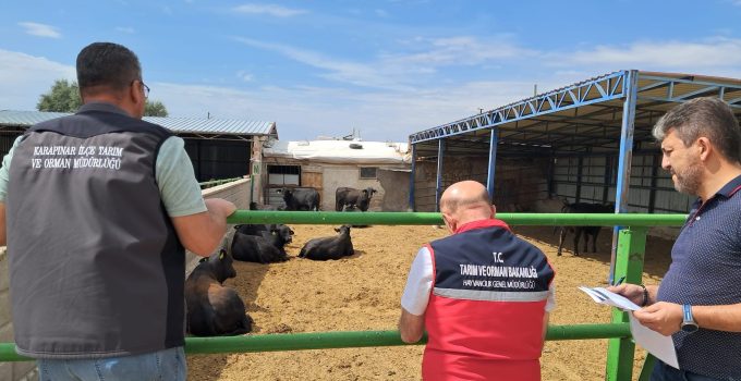 Karapınar’da Hayvan Sağlığı Denetimleri Sürüyor