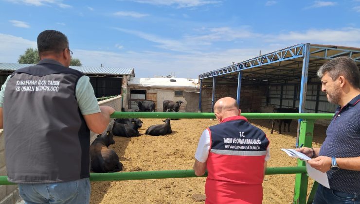 Karapınar’da Hayvan Sağlığı Denetimleri Sürüyor