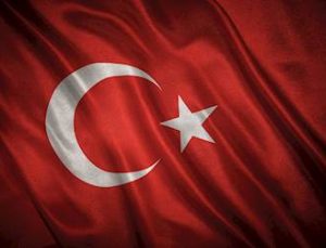 Zeytin Dalı Harekât Bölgesi’nde Bir Askerimiz Şehit Oldu