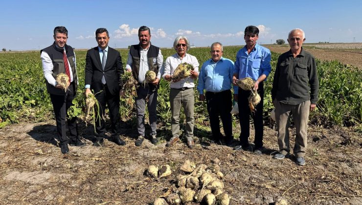 Kaymakam Genel, Ereğli’de Pancar Hasadına Katıldı