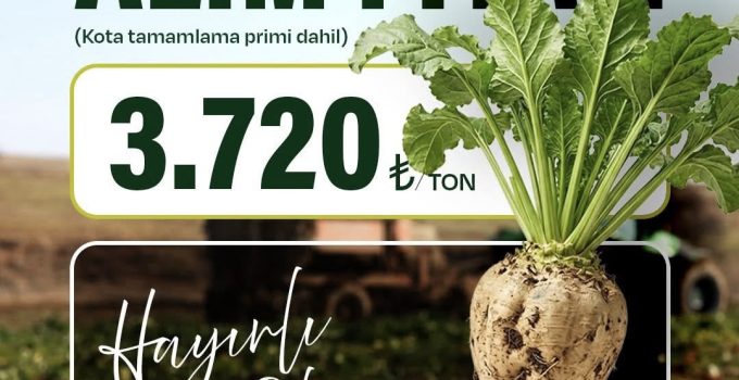 2026 YILI ŞEKER PANCARI ALIM FİYATI AÇIKLANDI
